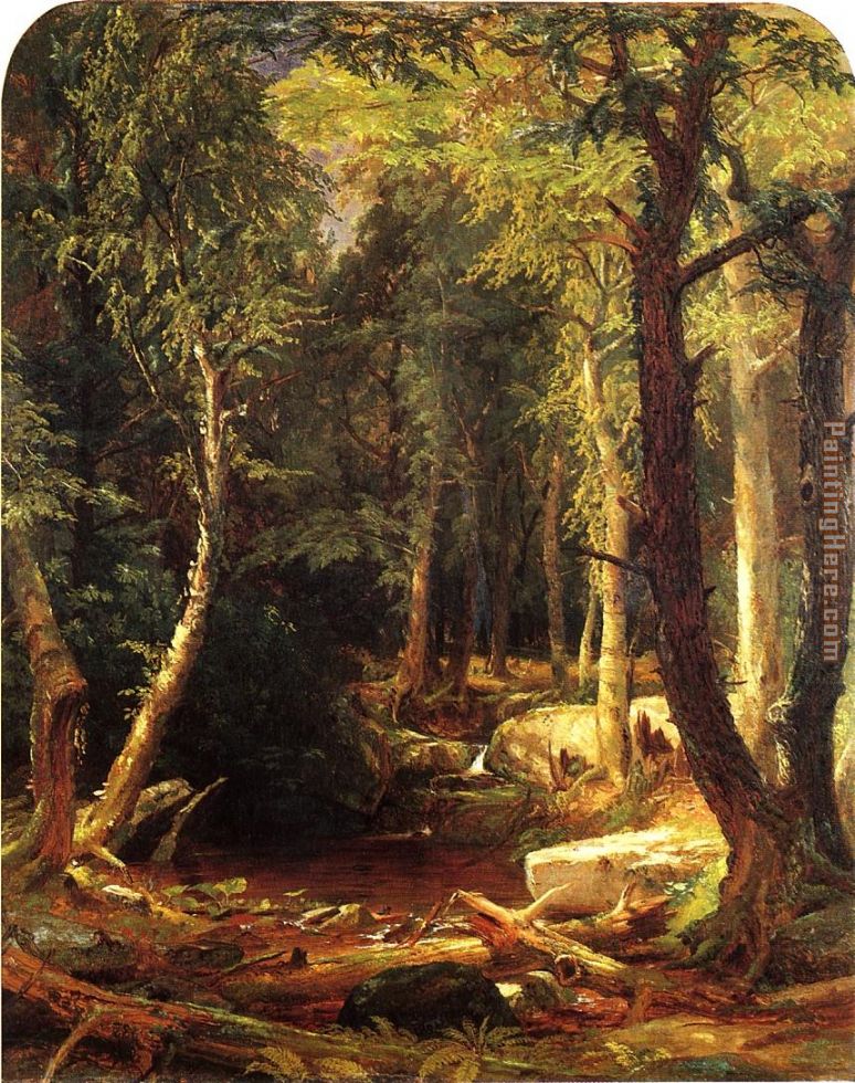 Pool in the Woods